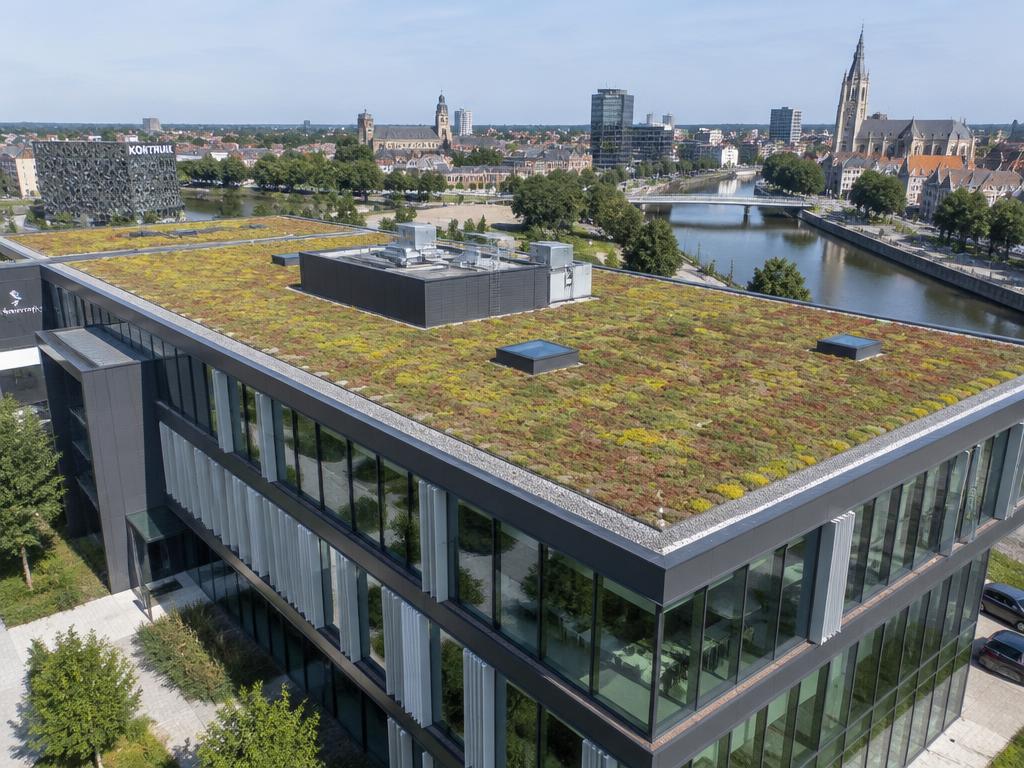 Sedum groendak op een kantoorgebouw aan de Leie in Kortrijk